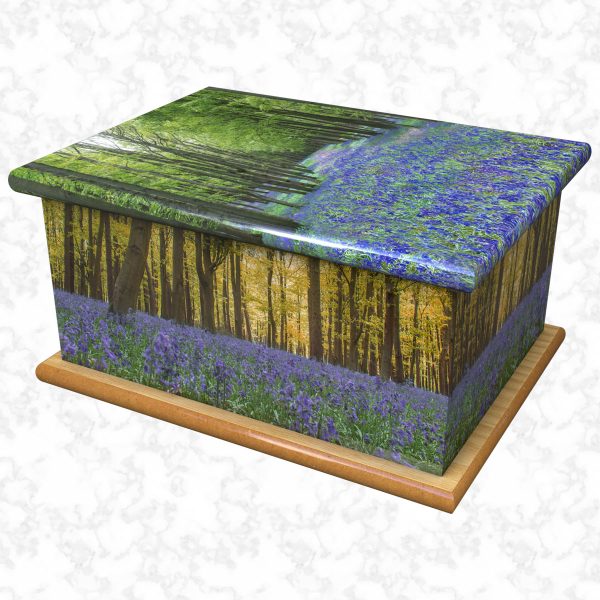 bluebell wood adult ashes casket