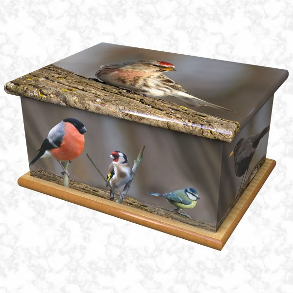 British birds ashes casket