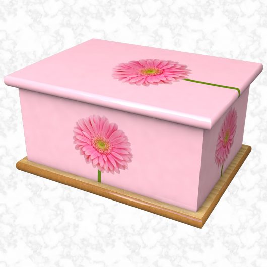 Daisy Gerbera pink ashes casket