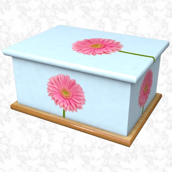 Daisy Gerbera skyblue ashes casket