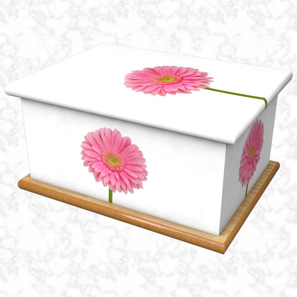 Daisy Gerbera white ashes casket