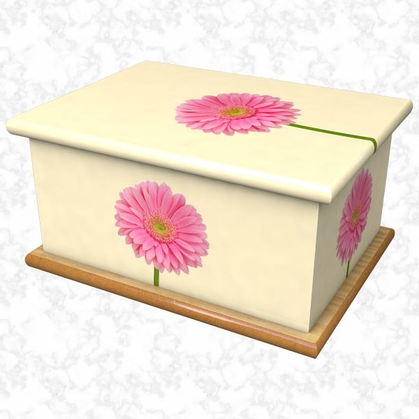 Daisy Gerbera cream ashes casket