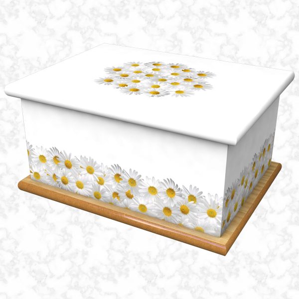 Daisy bank white ashes casket