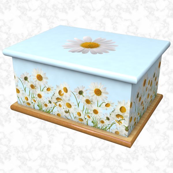 Daisy wild skyblue ashes casket