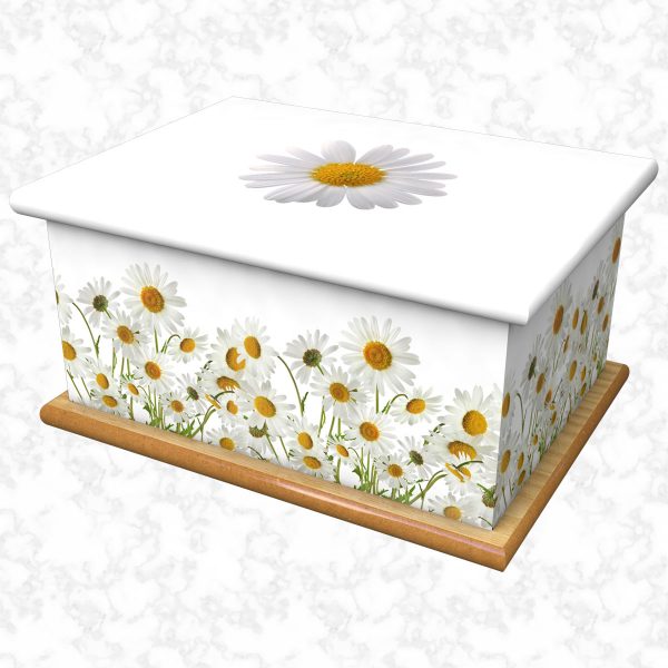 Daisy wild white ashes casket