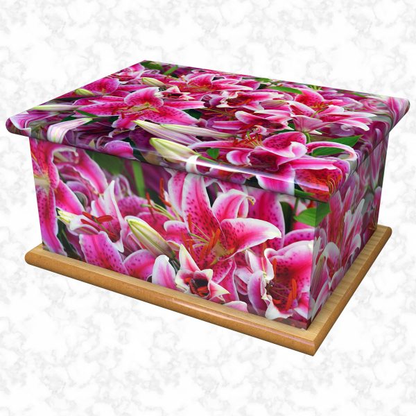 Pink stargazer ashes casket