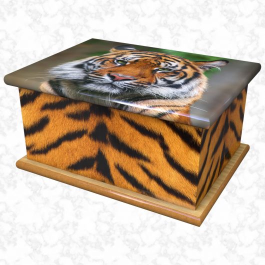 Tiger eyes ashes casket