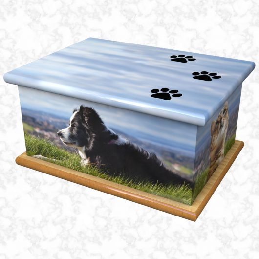 Good friends ashes casket