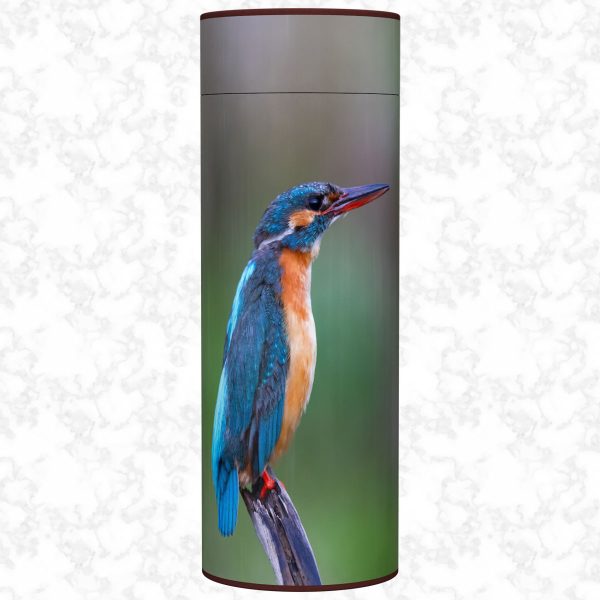 Kingfisher scatter tube adult size front view