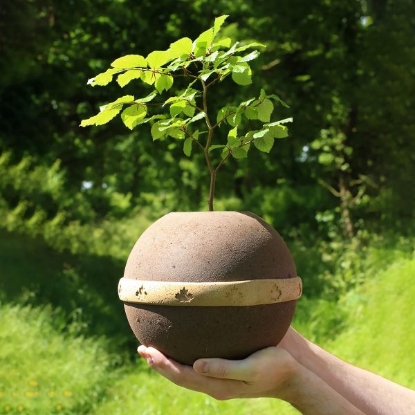 Limbo geos biodegradable urn tree