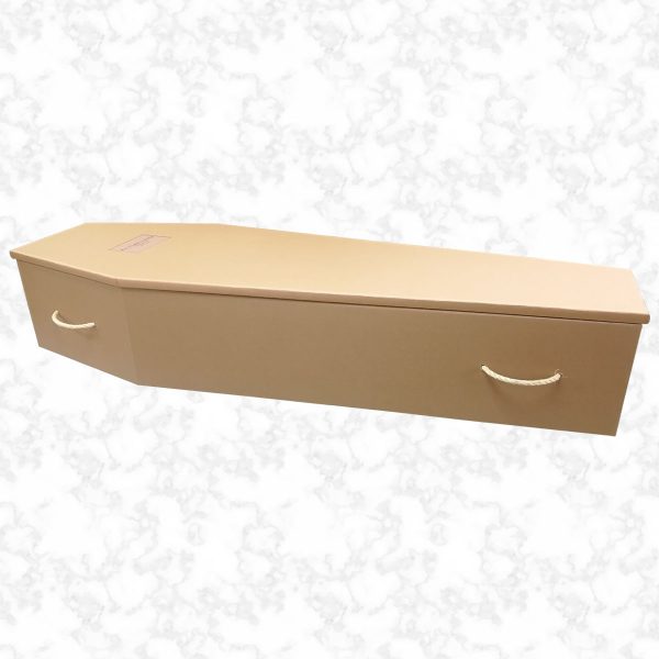 Brown cardboard coffin side view