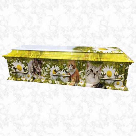 Oxford Purrfect Daisy american casket