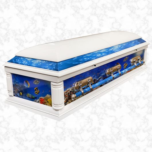 Purity Fish Tank american casket