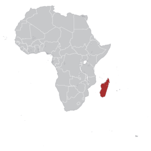 Madagascar