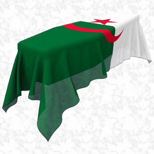 Algeria flag 3D