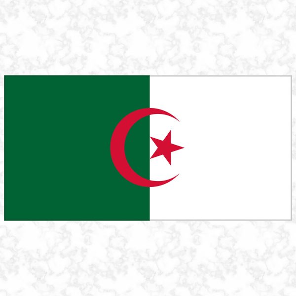 Algeria flag view