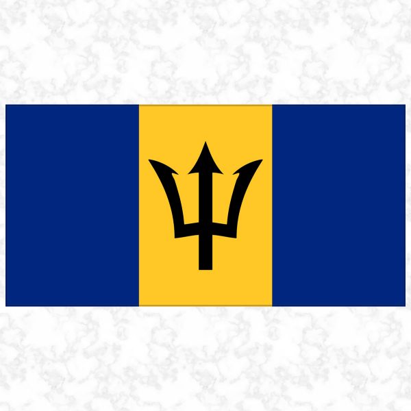 Barbados flag view