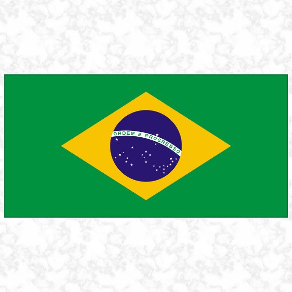 Brazil flag view