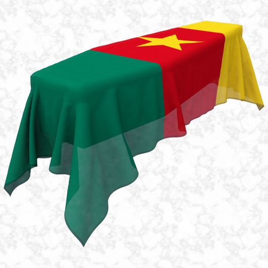 Cameroon flag 3D