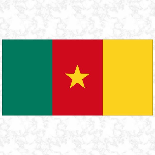 Cameroon flag view