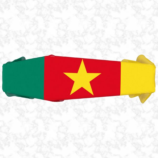 Cameroon flag 3D top