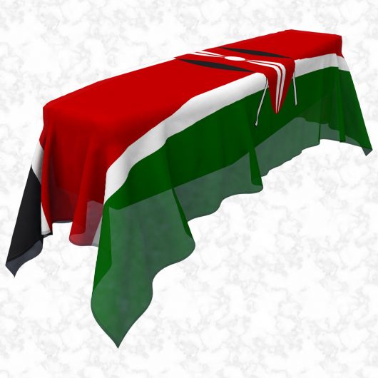 Kenya flag 3D