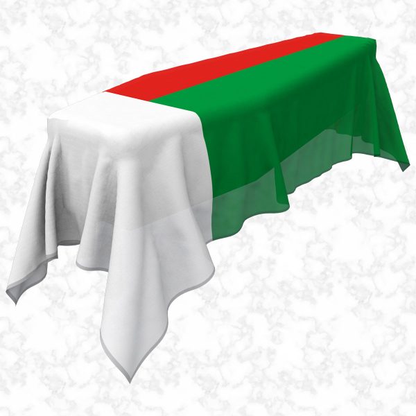 Madagascar flag 3D