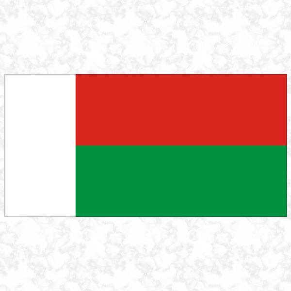 Madagascar flag view