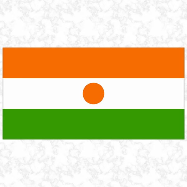 Niger flag view