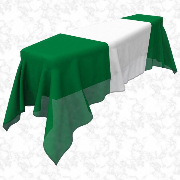 Nigeria flag 3D