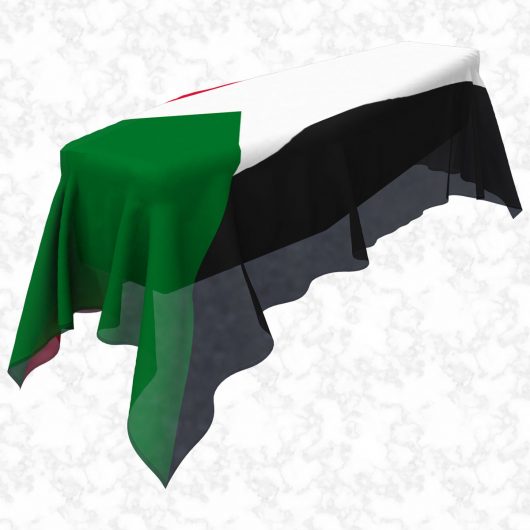 Sudan flag 3D