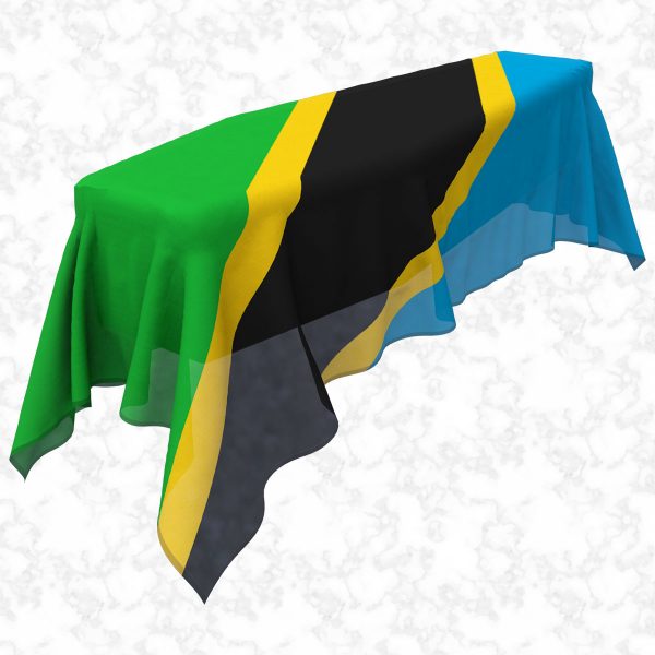 Tanzania flag 3D