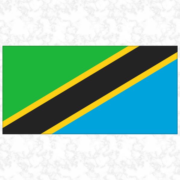 Tanzania flag view