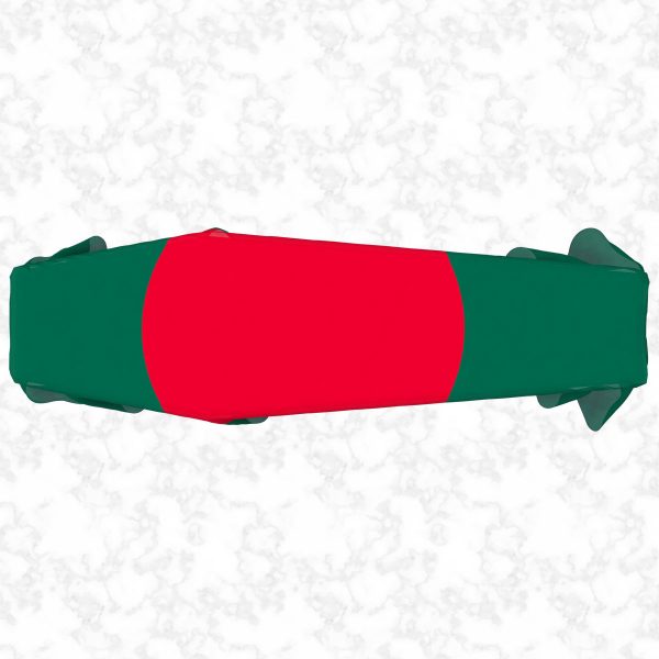 Bangladesh flag 3D top