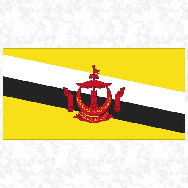 Brunei flag view