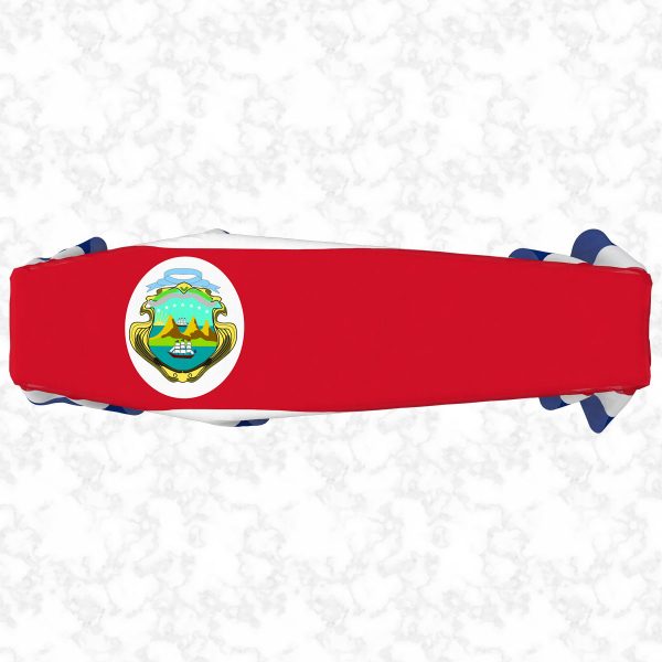 Costa Rica flag 3D top