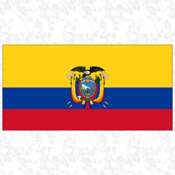 Ecuador flag view