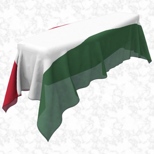 Hungary flag 3D