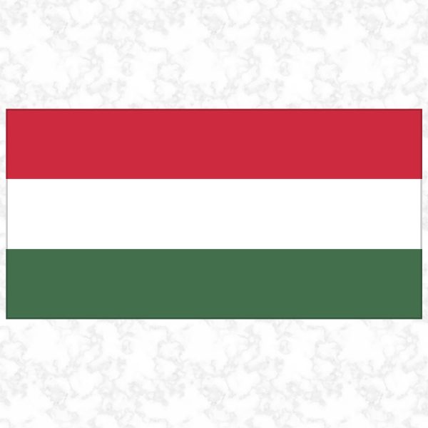 Hungary flag view