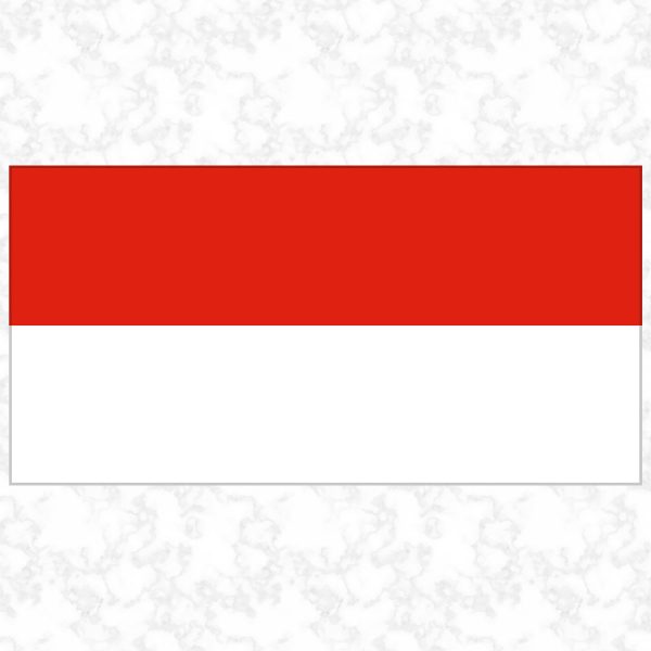 Indonesia flag view