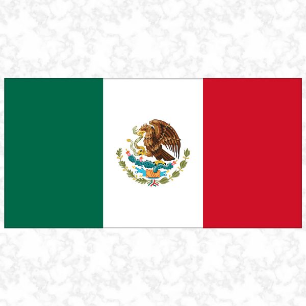 Mexico flag view