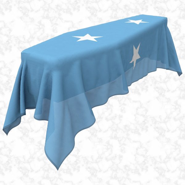 Micronesia flag 3D