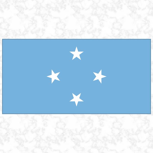 Micronesia flag view