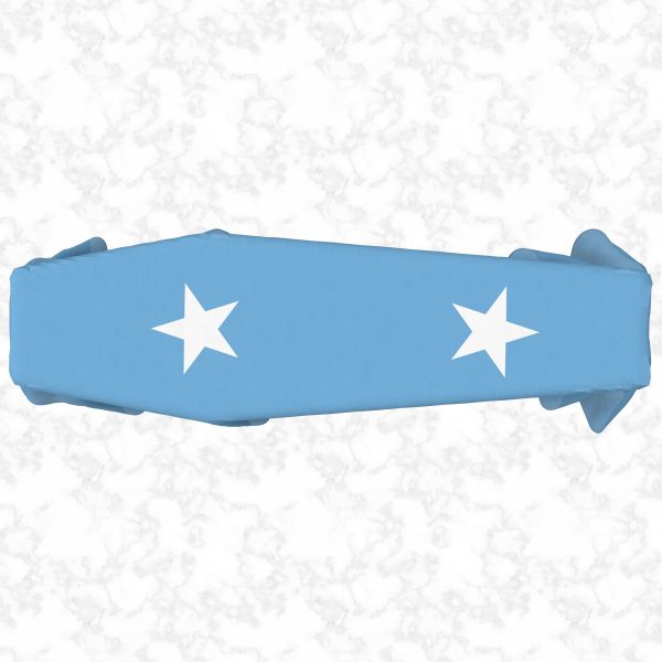 Micronesia flag 3D top