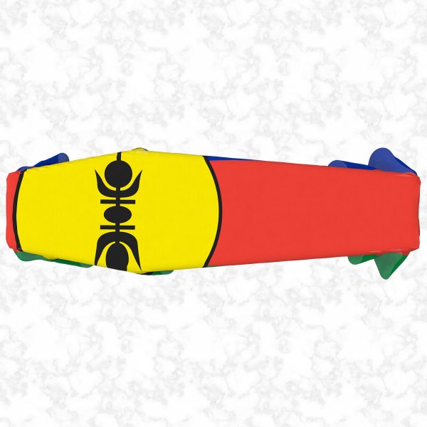 New Caledonia flag 3D top