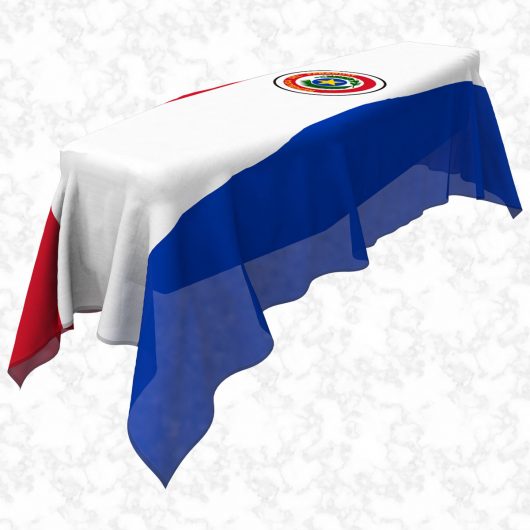 Paraguay flag 3D