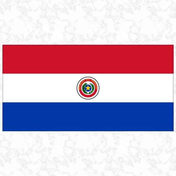 Paraguay flag view