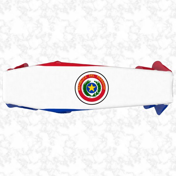 Paraguay flag 3D top