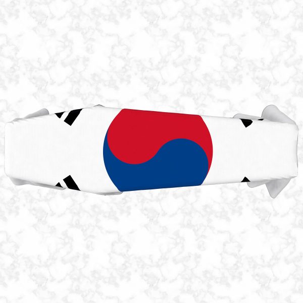 South Korea flag 3D top