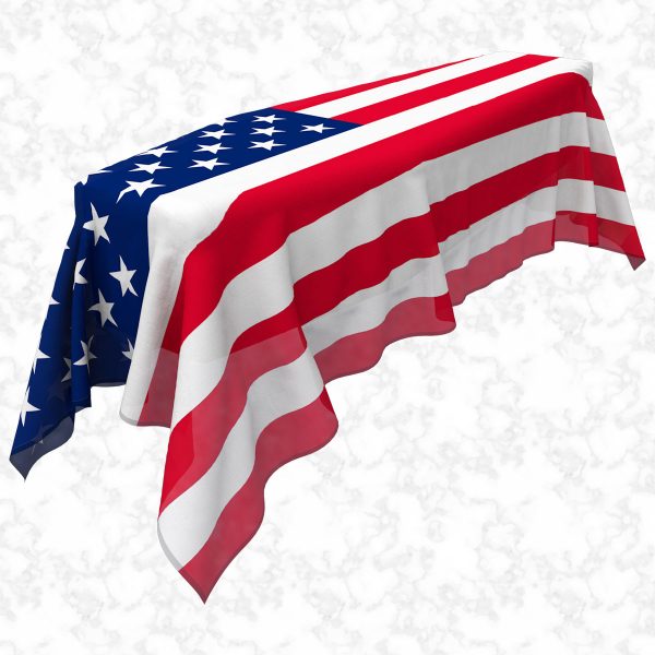 USA flag 3D